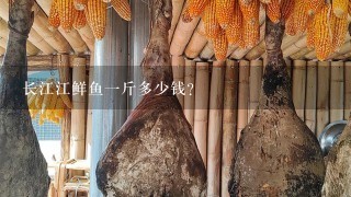 長江江鮮魚1斤多少錢？
